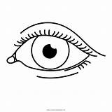 Olho Auge Colorare Occhio Ausmalen Ausmalbilder Augen Alvenaria Ultracoloringpages Malvorlagen sketch template