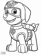 Paw Patrol Zuma Coloring Pages Canina Patrulla Print Dibujos Disney Colorear Para Sheets Pintar Guardado Colouring Desde Kids Si Lim sketch template