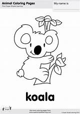 Koala Coloring Pages Cute Baby Kids Bear Printable Color Print Koalas Getdrawings Getcolorings Simple Super Colorings sketch template