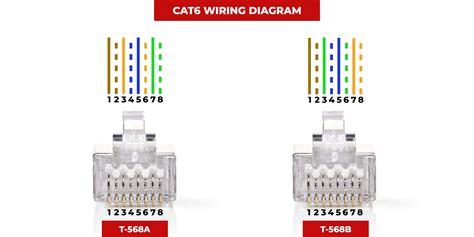 cat ethernet cable wiring diagram diagram board