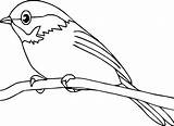 Robin Bird Coloring Pages American Red Drawing Printable Print Draw Kids Getdrawings Getcolorings Color sketch template