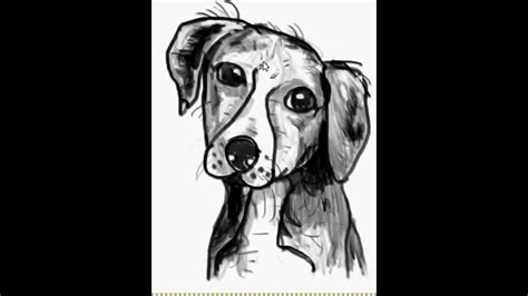 speed drawing  dog face   step  step youtube