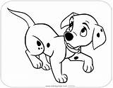Coloring 101 Pages Dalmatians Puppy Dalmatian Disneyclips Timid sketch template