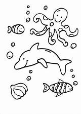 Colorear Delfin Delfine Wassertiere Ausmalen Acuaticos Malvorlage Fische Delphin Delphine Aquaticos Krake Wale Ausmalbild Fisch Acuáticos Viven Genial Delfines Vertebrados sketch template