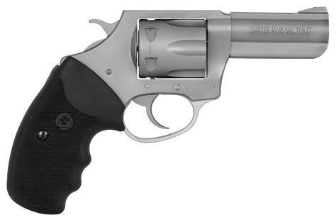 charter arms  pitbull  acp   stainless finished barrel