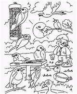 Vogels Kleurplaat Waldtiere Ausmalbild Tuin Dieren Malvorlagen Vogeltjes sketch template