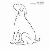 Pointer German Coloring Shorthaired Pages Puppy Hare Christmas Color Getdrawings Shorthair Getcolorings Line 8x10 Own sketch template