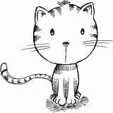 Whiskers Drawing Cat Getdrawings Step sketch template