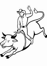 Bull Rodeo Coloring Rider Pages Drawing Printable Cowboy Clipart Graphics Categories Getdrawings sketch template