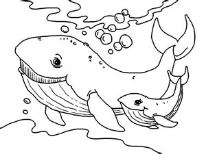 cute baby whale coloring pages lois murphys coloring pages
