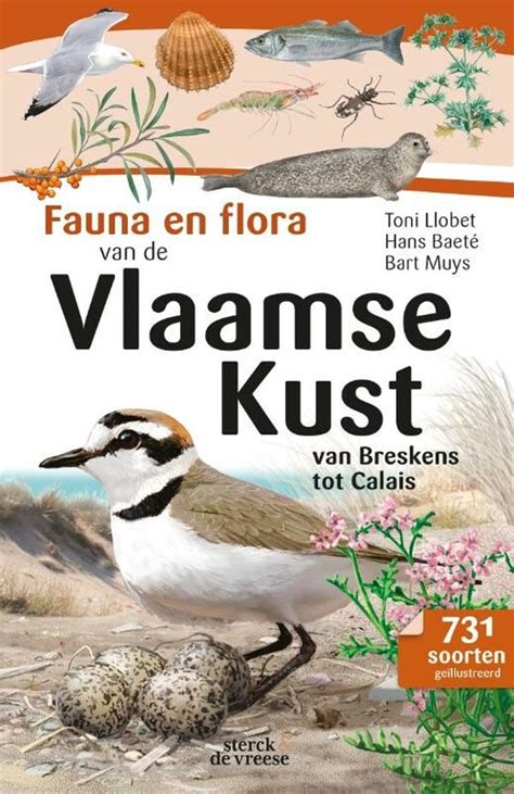 fauna en flora van de vlaamse kust hans baete  boeken bolcom