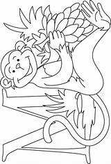 Coloring Monkey Kids Pages sketch template