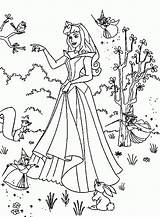 Desenhos Colorir Princesas Bela Adormecida Dibujo Hada Madrina Durmiente Hadas Bosque Marcadores sketch template