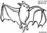 Bat Coloring Pages Vampire sketch template