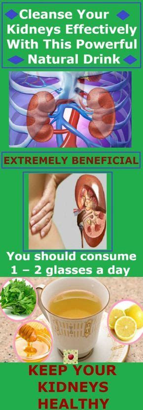 cleanse  kidneys effectively   powerful natural drink