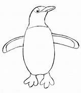 Penguin Drawing Penguins Step Drawings Pittsburgh Bell Samantha Getdrawings Logo Samanthasbell Choose Board sketch template