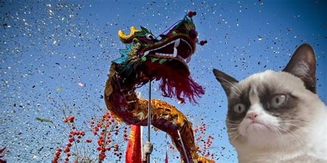 the story of chinese new year and grumpy cat sort of