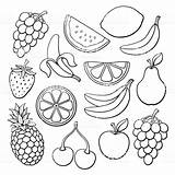 Fruits Frutas Berries Comida Colorir Desenhos Fruitful Rodajas Gratis sketch template