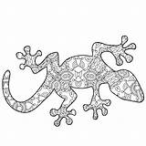 Animals Coloring Calm Pages Adult Lizard Volume Three Vuxna Series Book För Färglägg Charmander Pokémon Tagged Målarbild sketch template