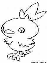 Coloring Torkoal Pokemon Pages Torchic sketch template