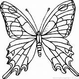 Coloring Butterfly Pages Cocoon Getdrawings sketch template