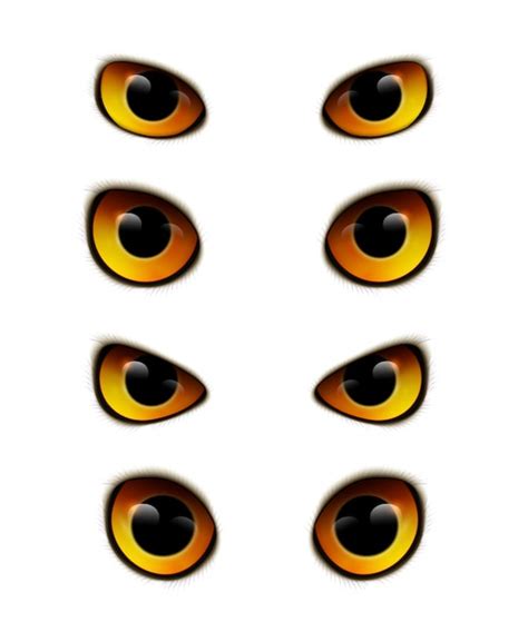 vector owl eyes realistic collection
