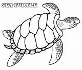 Turtle Sea Coloring Pages Loggerhead Drawing Shell Realistic Printable Color Green Leatherback Cute Turtles Snapping Adults Kids Hawaiian Printables Getcolorings sketch template