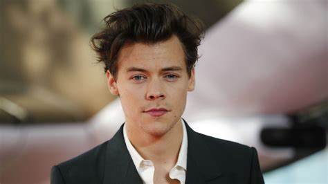 Harry Styles Plans For A Long Successful Solo Career