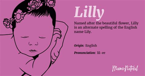 Lilly Name Meaning Origin Popularity Girl Names Like Lilly Mama