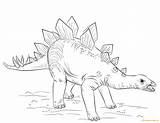 Stegosaurus Coloring Pages Dinosaur Drawing Draw Young Online Supercoloring Kids Dinosaurs Printable Color Tutorials Step Coloringpagesonly sketch template