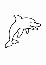 Dolfijn Kleurplaat Makkelijk Downloaden sketch template