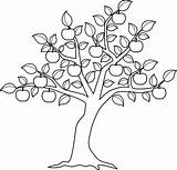 Fruit Drawing Tree Apple Paintingvalley Sketch Drawings sketch template