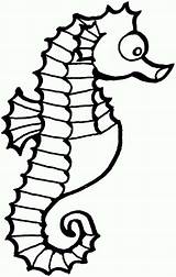 Seahorse Coloring Cartoon Pages Sea Horse Outline Funny Clip Cute Clipart Drawing Cliparts Kids Seahorses Color Sheet Print Library Clipartbest sketch template