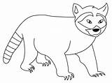 Raccoon Coloring Pages Printable Kids Popular Bestcoloringpagesforkids sketch template