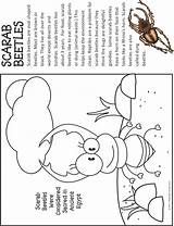 Coloring Scarab Makingfriends Beetle Bug Bettle sketch template