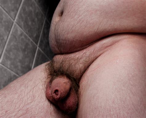 soft uncut cock on a chubby guy