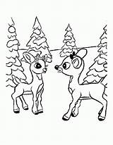 Coloring Rudolph Wilma Pages Popular sketch template