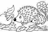 Igel Herbst Riccio Herbstbilder Malvorlagen Ausdrucken Arici Hedgehogs Two Colorat Herbstmotive Automne Sagome Coloriages Plansa Porcospino Animal Scaricare Hérissons Tante sketch template