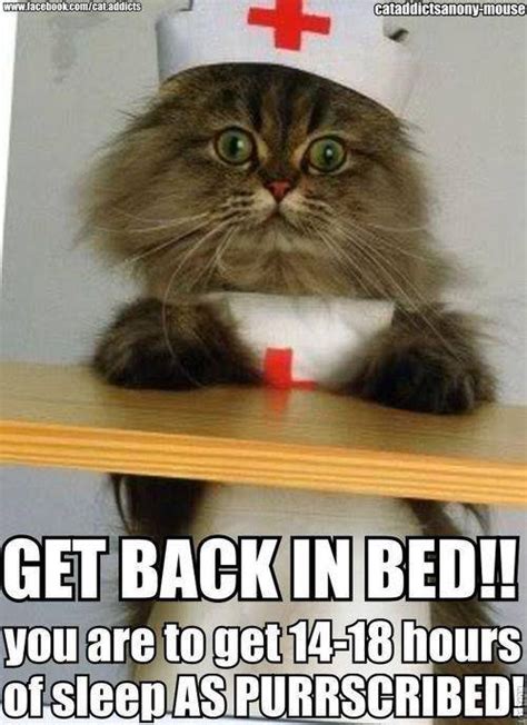 Nurse Kitty Meme Cats Nurse Cat Get
