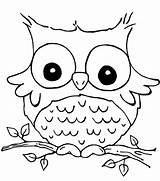 Coloring Owl Pages Clip Nocturnal Bird Animals Color Arts Cartoon sketch template
