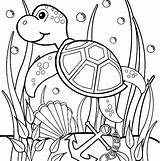 Turtle Coloring Pages Kids Ocean Animal Sea Printable Color Baby Draw Drawing Print Visit Realistic Letscolorit sketch template