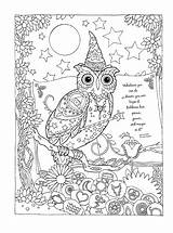 Coloring Pages Crayola Adult Adults Owl Frog Mushroom Disney Phoenix Christmas Hope Steampunk Trippy Kelso Choices Corgi Sports Cool Detailed sketch template