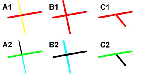color  illustration   procedure  grouping   scientific diagram