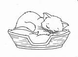 Cat Sleeping Coloring Pages Sleep Kids Drawing Cats Colouring Printable Kitten Color Kitty Animal Print Getdrawings Getcolorings Embroidery Book Choose sketch template