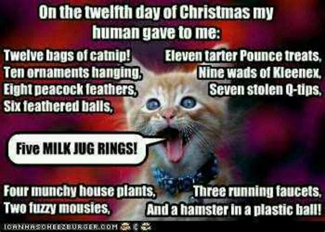 167 best christmas laughter images on pinterest merry