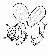 Coloring Pages Insect Insects Animated Coloringpages1001 sketch template
