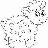 Sheep Coloring Baby Pages Fluffy Surfnetkids sketch template