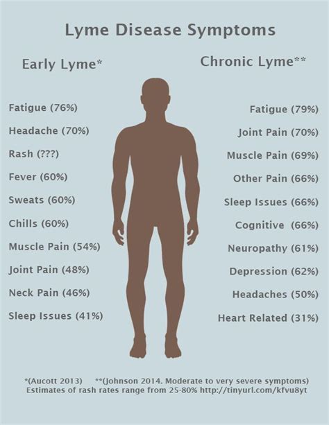 Chronic Lyme Disease