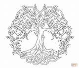 Keltische Lebensbaum Besuchen Keltisch Keltischer sketch template