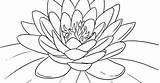 Flower Lotus Coloring Pages sketch template